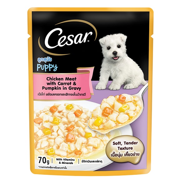 image Mockup_Cesar_Pouch_Chicken_Meat_with_Carrot%26Pumpkin_Gravy_FOP